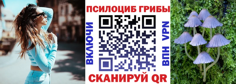 МЕГА маркетплейс  Теберда  Псилоцибиновые грибы мицелий 